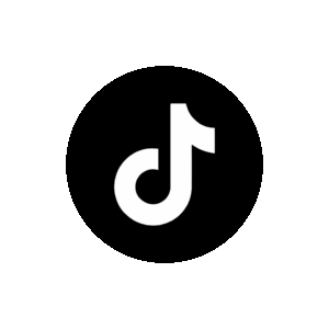 TikTok del profesor 